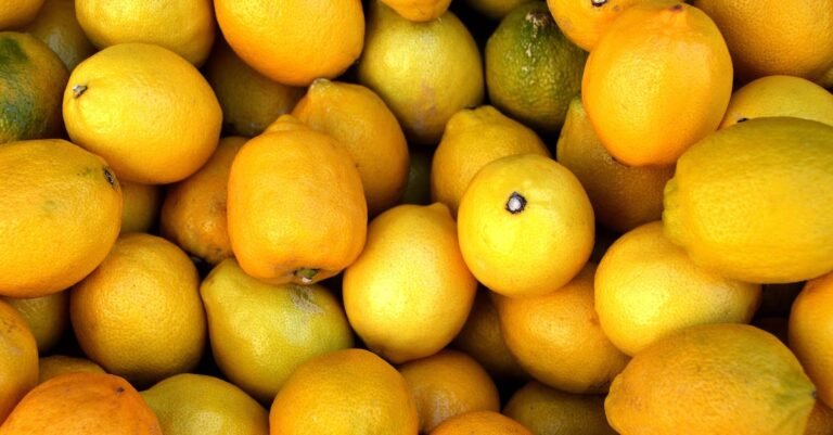 Learn To Juice With These Simple Tips
