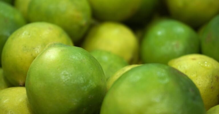 Juice From My Kitchen? It’s More Fun Than You Thought!