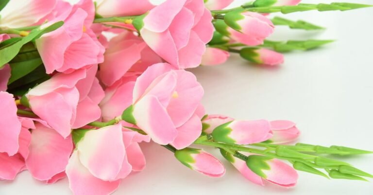 What You Need To Know About Beauty
